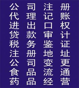 公司注冊與稅務咨詢服務全面解析 流程、選擇與價格指南
