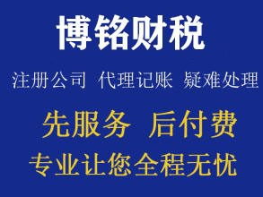 代理記賬與稅務咨詢 助力內資小規(guī)模企業(yè)高效運營